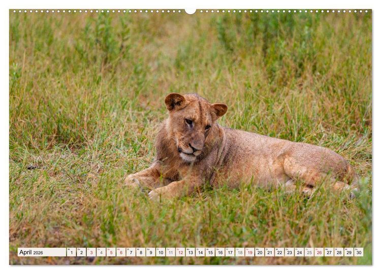Produktbild: Wildnis Okavango-Delta (hochwertiger Premium Wandkalender 2026 DIN A2 quer), Kunstdruck in Hochglanz