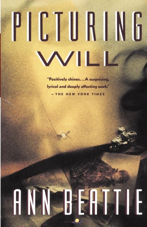 Produktbild: Picturing Will