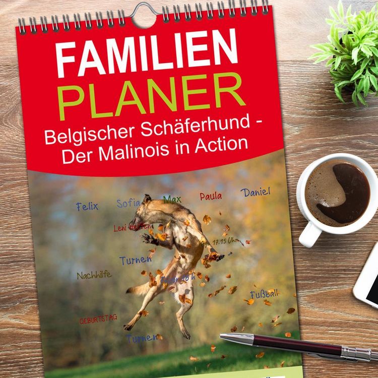 Produktbild: Familienplaner 2026 - Belgischer Sch&auml;ferhund - Der Malinois in Action mit 5 Spalten (Wandkalender, 21 x 45 cm) CALVENDO