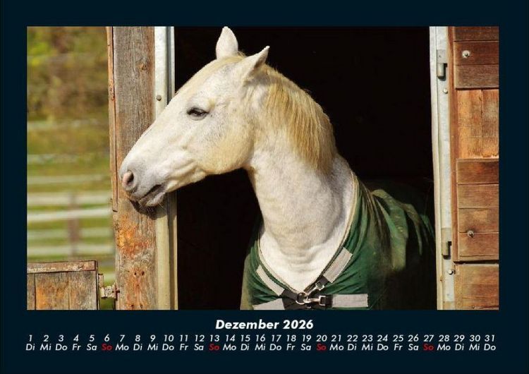 Produktbild: Die Welt der Pferde 2026 Fotokalender DIN A4