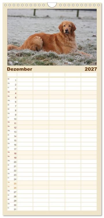 Produktbild: Familienplaner 2027 - Hovawart - nat&uuml;rlich blond mit 5 Spalten (Wandkalender, 21 x 45 cm) CALVENDO