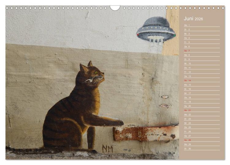 Produktbild: Flensburger Katzen (Wandkalender 2026 DIN A3 quer), CALVENDO Monatskalender