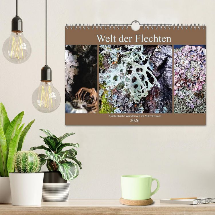Produktbild: Welt der Flechten (Wandkalender 2026 DIN A4 quer), CALVENDO Monatskalender