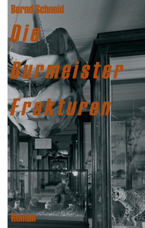 Produktbild: Die Burmeister Frakturen