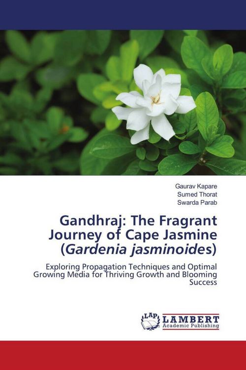 Produktbild: Gandhraj: The Fragrant Journey of Cape Jasmine (Gardenia jasminoides)