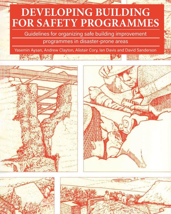 Produktbild: Developing Building for Safety Programmes
