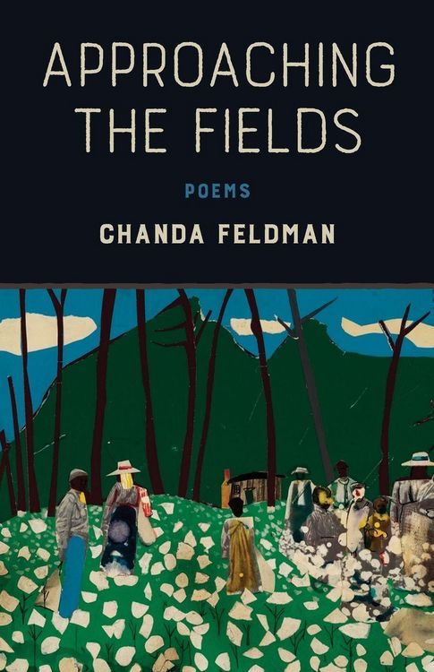 Produktbild: Approaching the Fields