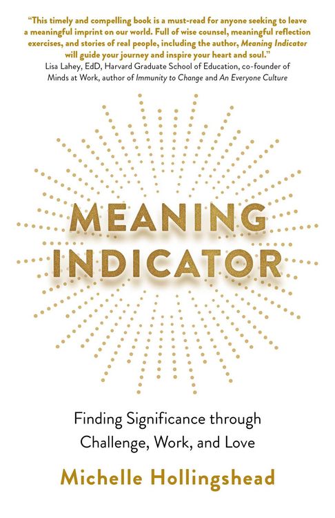 Produktbild: Meaning Indicator