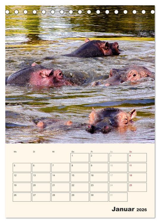 Produktbild: Kenia &ndash; Terminplaner (Tischkalender 2026 DIN A5 hoch), CALVENDO Monatskalender