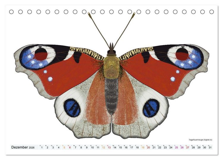 Produktbild: Schmetterlinge illustriert (Tischkalender 2026 DIN A5 quer), CALVENDO Monatskalender