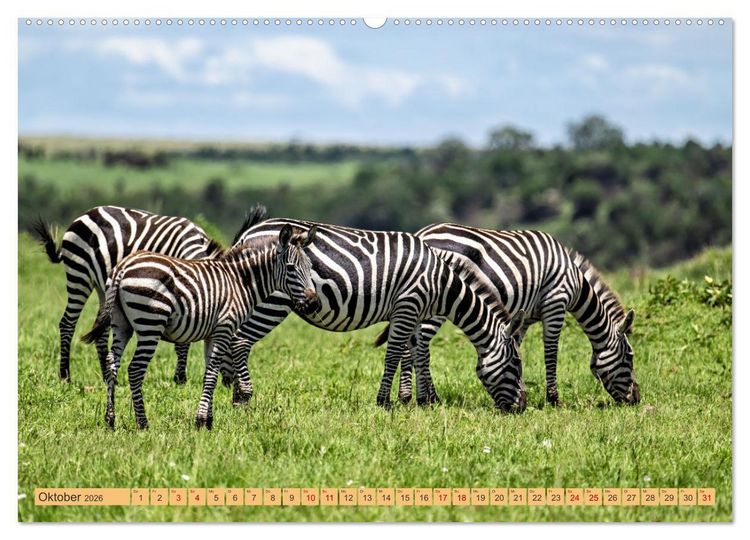 Produktbild: Magische Momente aus Kenia (Wandkalender 2026 DIN A2 quer), CALVENDO Monatskalender
