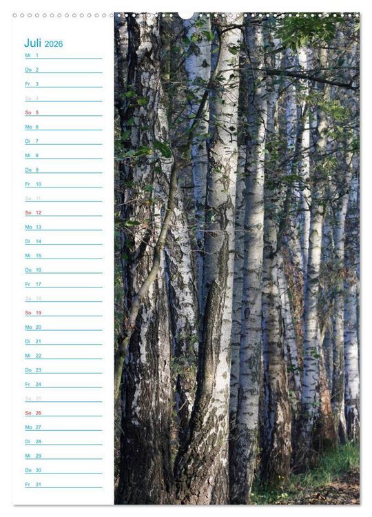 Produktbild: Wunderbarer Spreewald (hochwertiger Premium Wandkalender 2026 DIN A2 hoch), Kunstdruck in Hochglanz