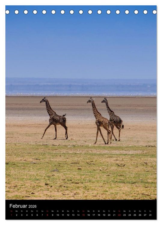 Produktbild: Wildes Afrika (Tischkalender 2026 DIN A5 hoch), CALVENDO Monatskalender