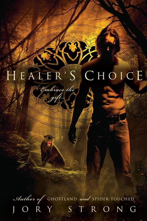 Produktbild: Healer's Choice