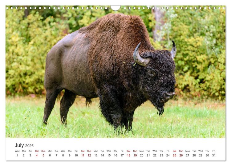Produktbild: Yukon Wild (Wall Calendar 2026 DIN A3 landscape), CALVENDO 12 Month Wall Calendar