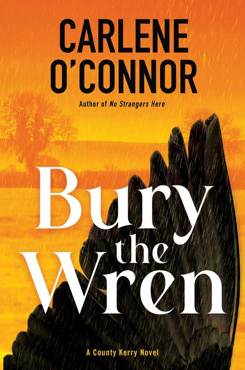 Produktbild: Bury the Wren