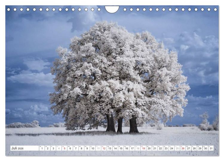 Produktbild: Zauberhafte Infrarot-Fotografie (Wandkalender 2026 DIN A4 quer), CALVENDO Monatskalender