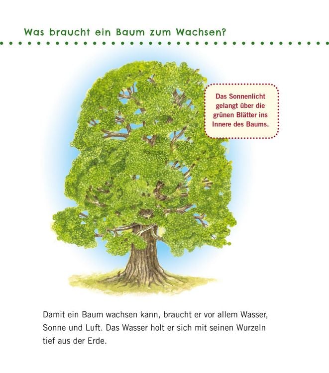 Produktbild: Unkaputtbar: Erstes Wissen: Im Wald