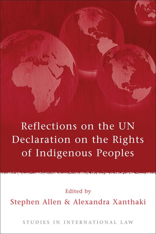 Produktbild: Reflections on the UN Declaration on the Rights of Indigenous Peoples