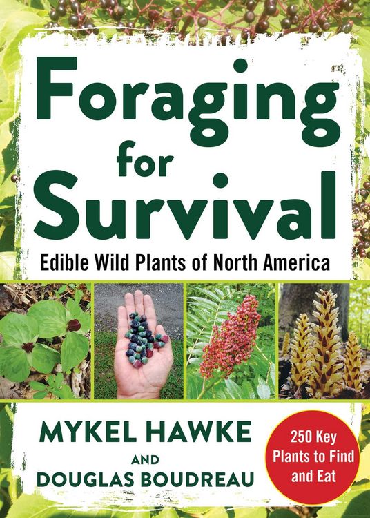 Produktbild: Foraging for Survival