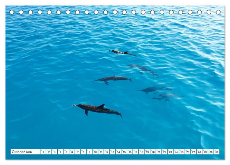 Produktbild: MALEDIVEN Wunderwelt (Tischkalender 2026 DIN A5 quer), CALVENDO Monatskalender