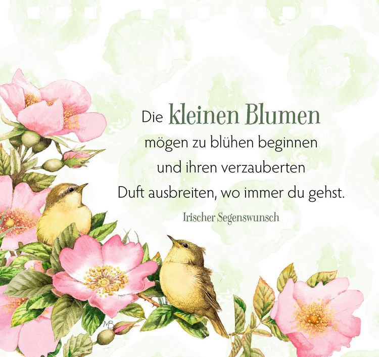 Produktbild: Zauberhafte Momente f&uuml;r jeden Tag