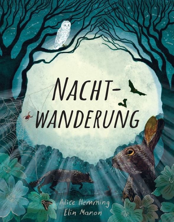 Produktbild: Nachtwanderung