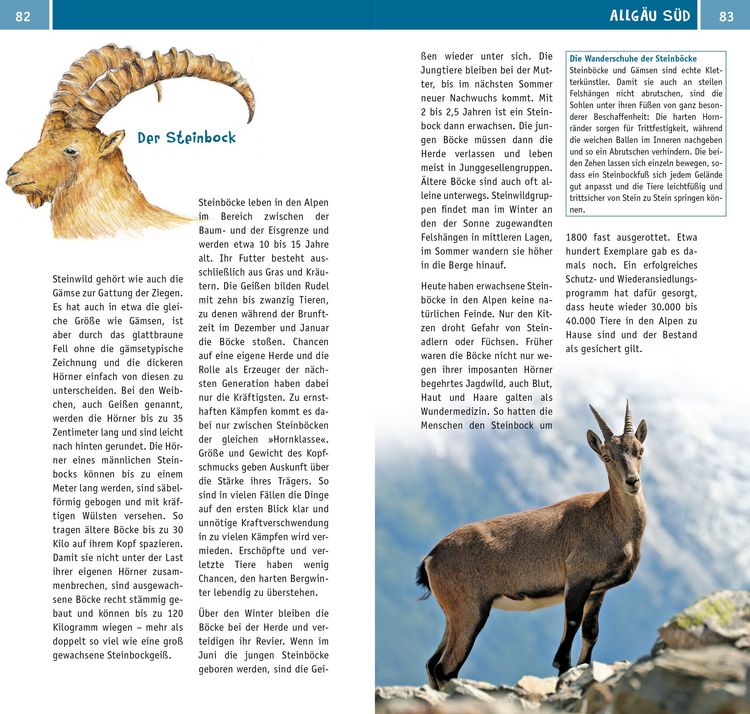 Produktbild: Naturzeit mit Kindern: Allg&auml;u