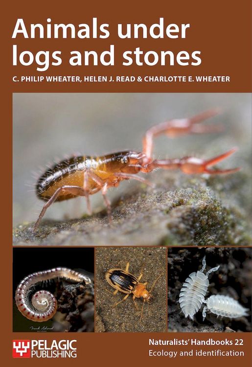 Produktbild: Animals under logs and stones