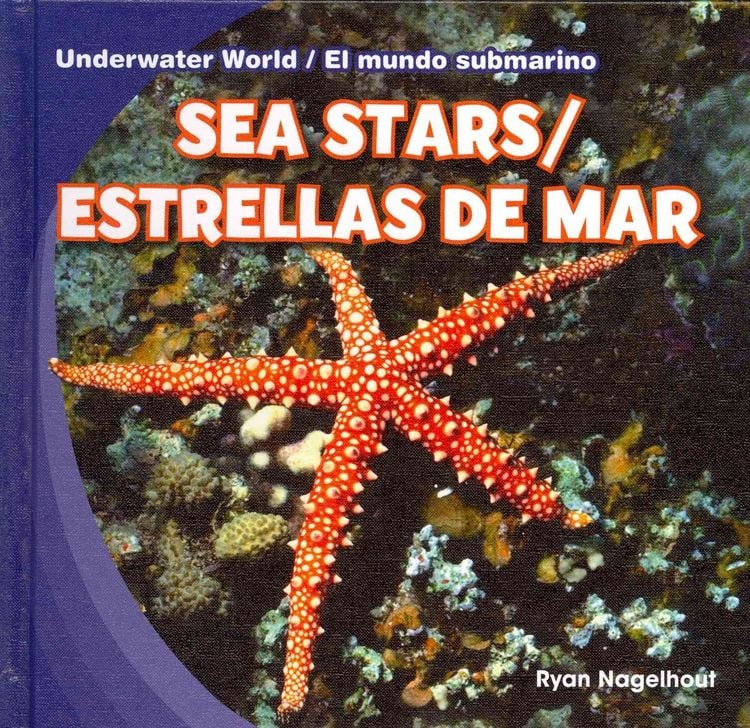 Produktbild: Sea Stars / Estrellas De Mar