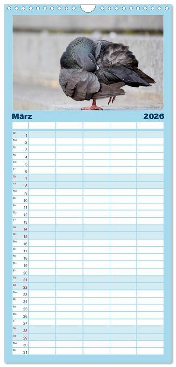 Produktbild: Familienplaner 2026 - Geliebte Tauben mit 5 Spalten (Wandkalender, 21 x 45 cm) CALVENDO