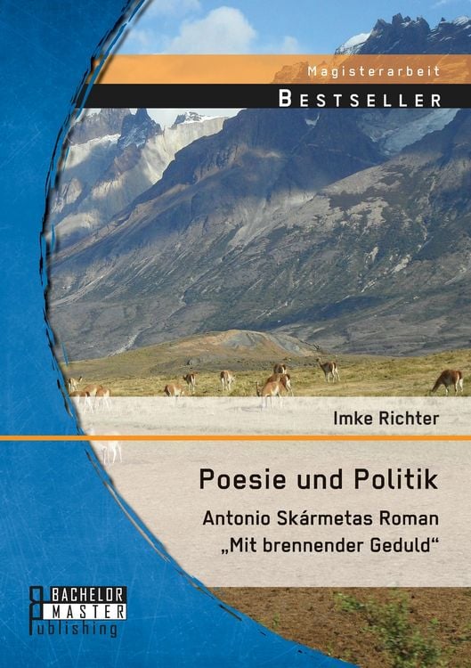 Produktbild: Poesie und Politik: Antonio Sk&aacute;rmetas Roman "Mit brennender Geduld"