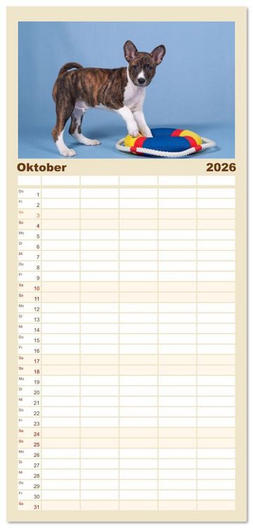 Produktbild: Familienplaner 2026 - Der Basenji mit 5 Spalten (Wandkalender, 21 x 45 cm) CALVENDO