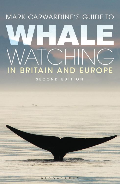 Produktbild: MARK CARWARDINES GT WHALE WATC