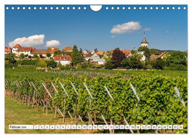 Produktbild: Die Els&auml;sser Weinstra&szlig;e (Wandkalender 2026 DIN A4 quer), CALVENDO Monatskalender