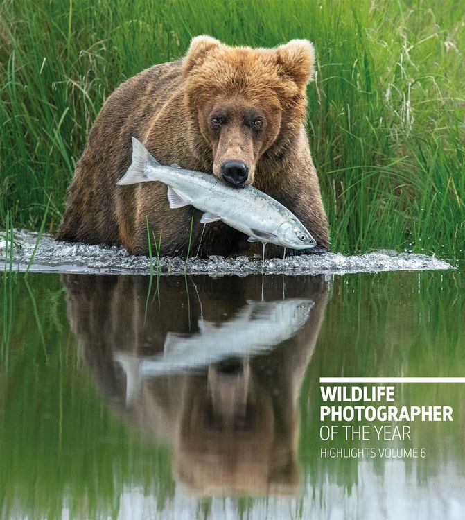 Produktbild: Wildlife Photographer of the Year: Highlights Volume 6