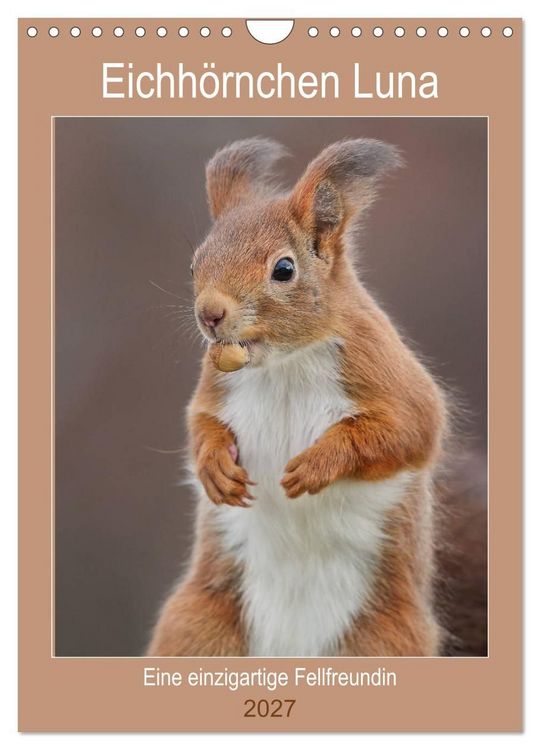 Produktbild: Eichh&ouml;rnchen Luna (Wandkalender 2027 DIN A4 hoch), CALVENDO Monatskalender