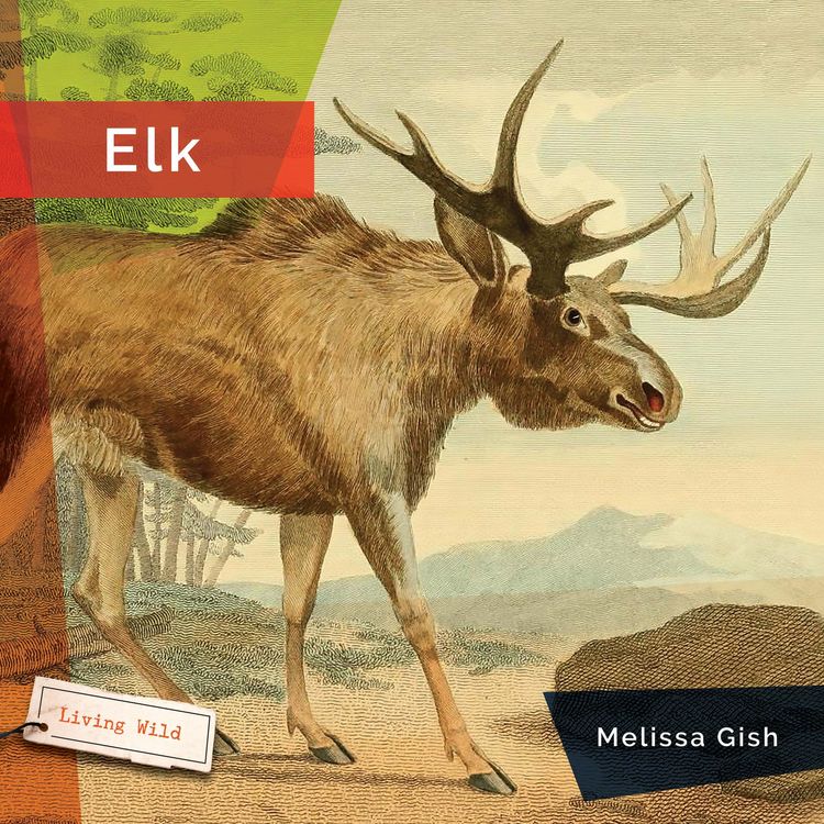 Produktbild: Elk