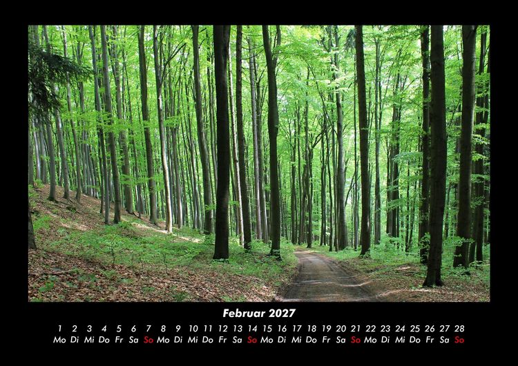 Produktbild: Waldzauber 2027 Fotokalender DIN A3