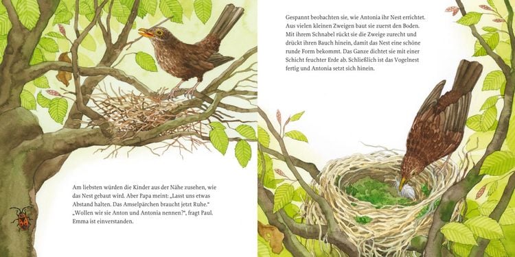 Produktbild: LESEMAUS 108: Das Vogelnest