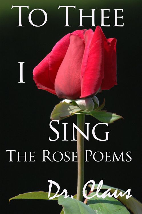 Produktbild: To Thee I Sing