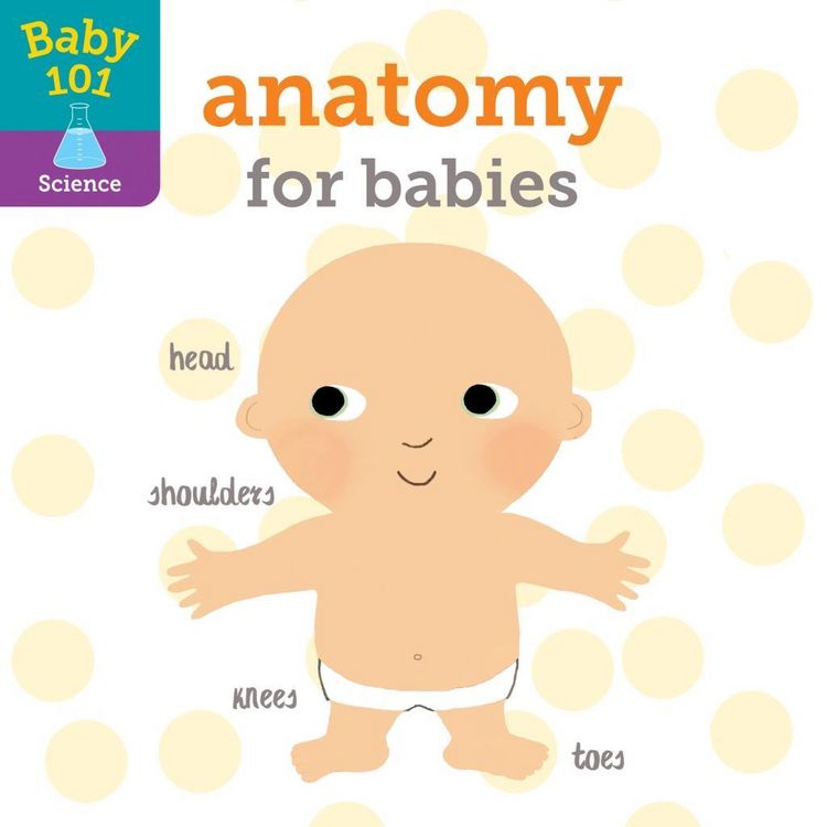 Produktbild: Baby 101: Anatomy for Babies