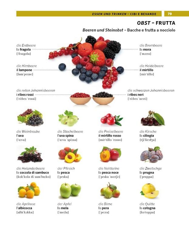 Produktbild: PONS Bildw&ouml;rterbuch Italienisch