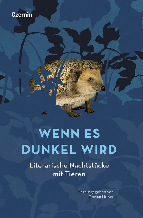 Produktbild: Wenn es dunkel wird