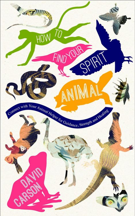 Produktbild: How to Find Your Spirit Animal