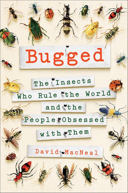Produktbild: Bugged