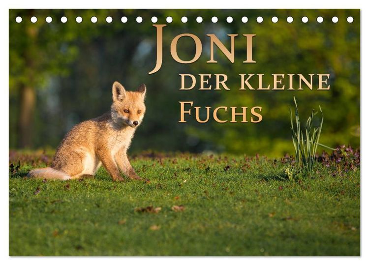 Produktbild: Joni, der kleine Fuchs (Tischkalender 2026 DIN A5 quer), CALVENDO Monatskalender