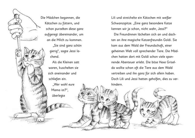 Produktbild: Die magischen Tierfreunde (Band 4) - Susi Samtpfote geht verloren