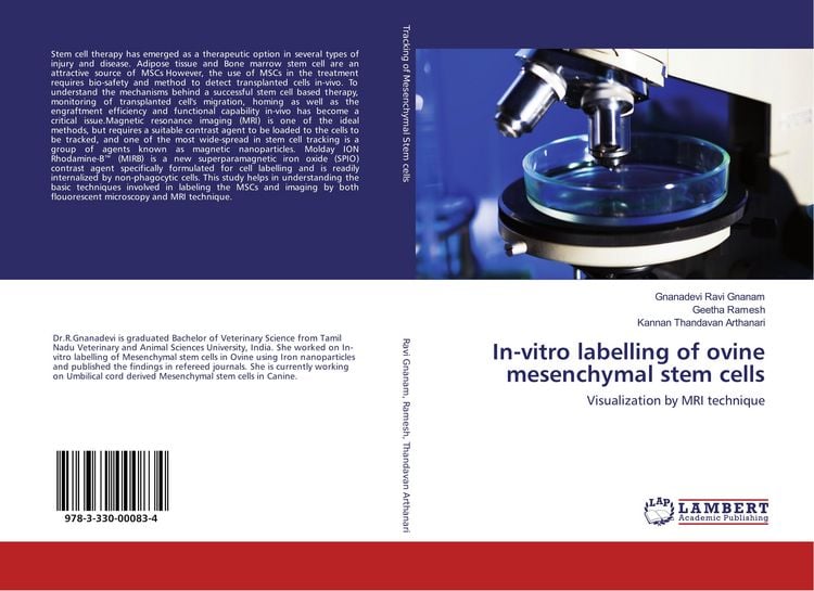 Produktbild: In-vitro labelling of ovine mesenchymal stem cells