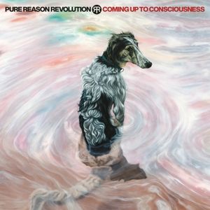 Produktbild: Coming Up To Consciousness